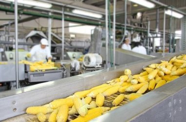 Valore nutrizionale dei cibi e processi tecnologici