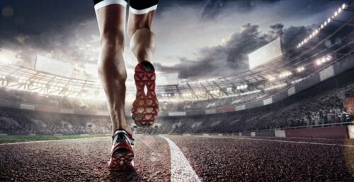 Tendini e legamenti del ginocchio di un atleta