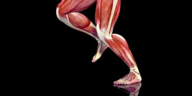 Lesioni dei tessuti molli: trattamento nella fase subacuta