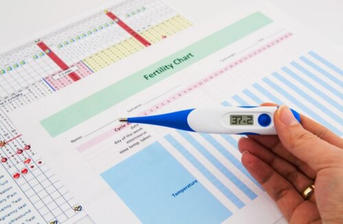 Termometro e tabella della fertilità