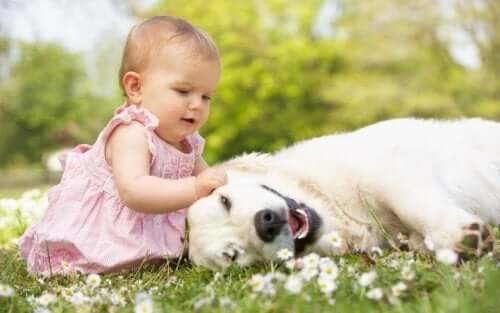 Bambina che gioca con un cane 