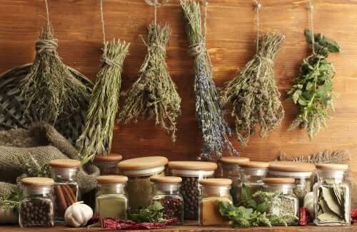 Erbe aromatiche