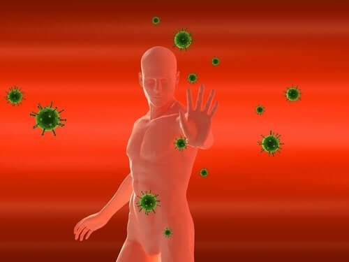 Il sistema immunitario che lotta