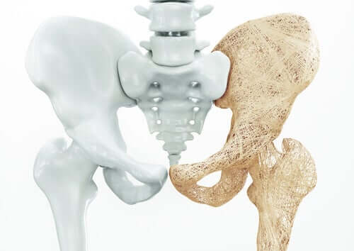 Pavimento pelvico maschile, ossa del bacino