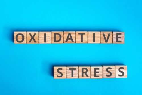 Stress ossidativo: in che cosa consiste?