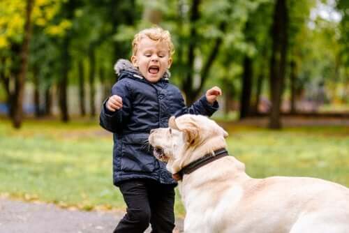 Mio figlio ha paura degli animali. Cosa fare?