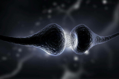 Sinapsi dei neuroni