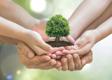 Proteggere l'ambiente da casa propria