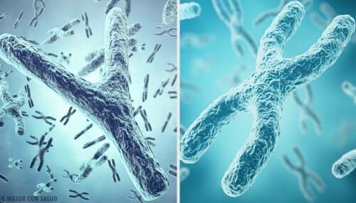 Cromosomi
