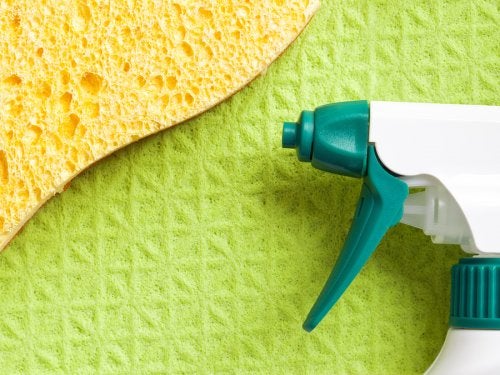 Detergenti ecologici per la casa: 5 proposte