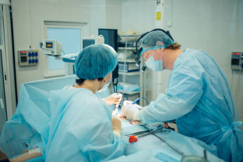 Equipe in sala chirurgica per vasectomia