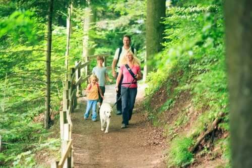 Attività alla aria aperta in autunno e famiglia su sentiero di montagna.