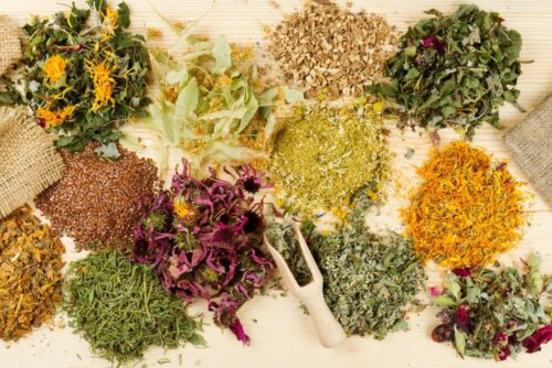 Le migliori piante medicinali