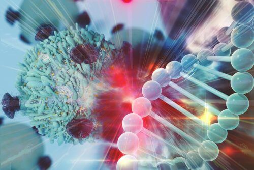 Risposta immunitaria e dna