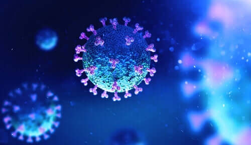 Il coronavirus infetta le cellule