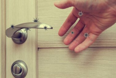 Quanto sopravvive il Coronavirus sulle superfici?