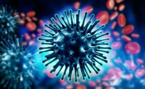 La tempesta di citochine e il Coronavirus