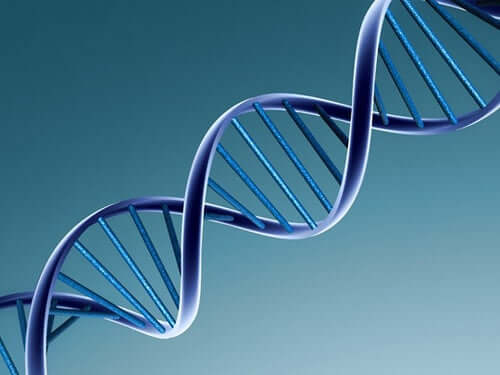 Doppia elica del DNA