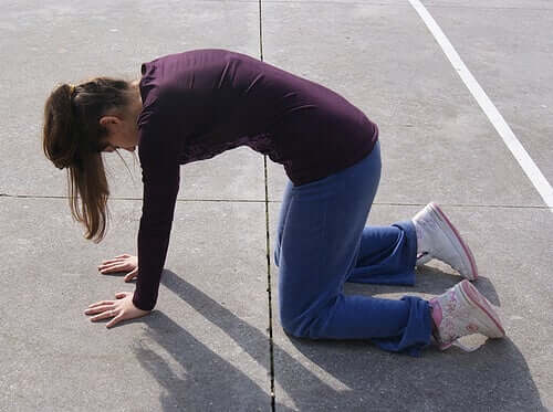 Stretching del gatto