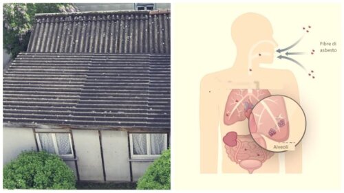 Fibre di asbesto o amianto