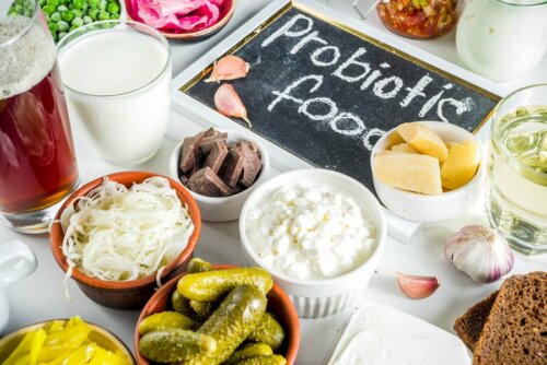 Probiotici e prebiotici: quali differenze?