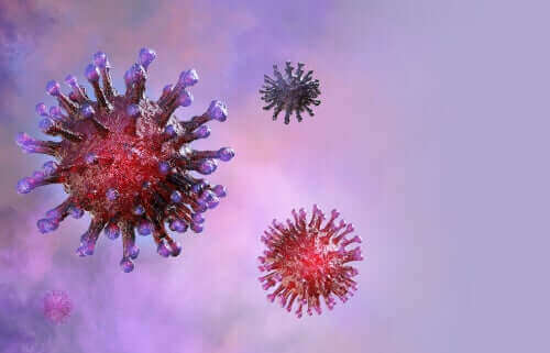 Nuovo coronavirus