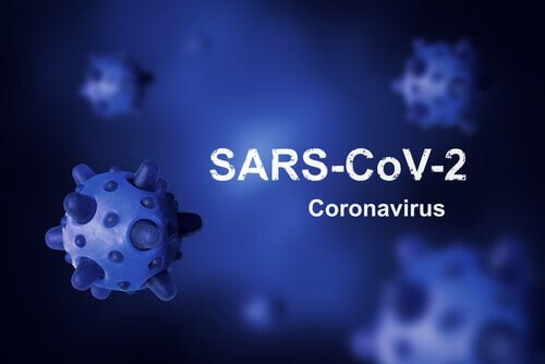 Sars-Cov-2