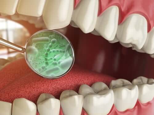 Batteri del cavo orale, quali sono?