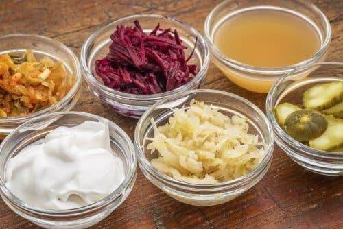 Alimenti fermentati