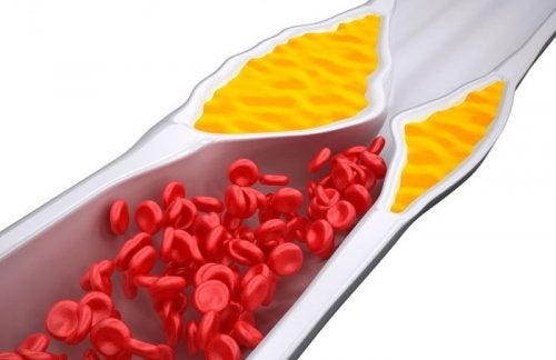 Globuli rossi e colesterolo