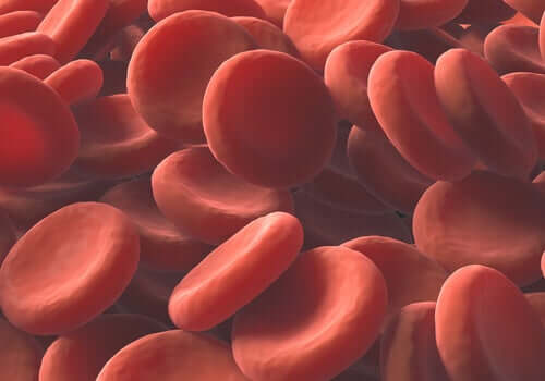 Gruppo sanguigno e coronavirus, globuli rossi