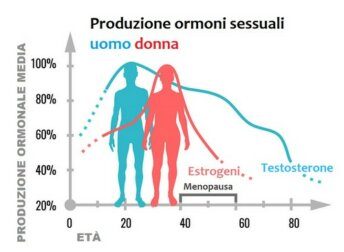 Ormoni sessuali: che funzione hanno?