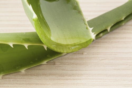aloe vera, utile in caso di eruzione cutanea da calore