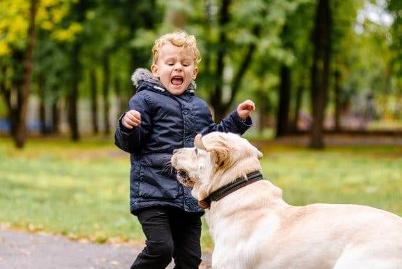 Bambino che ha paura del cane