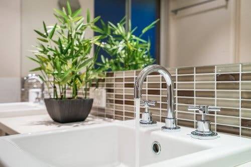 Bambù pianta da bagno