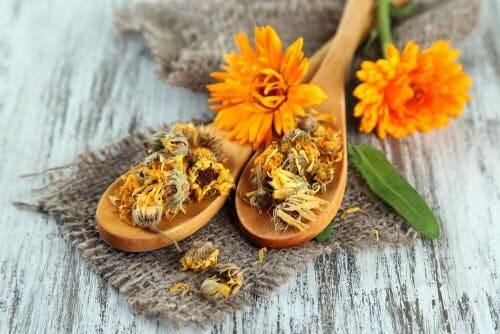 Calendula per le eruzioni da calore