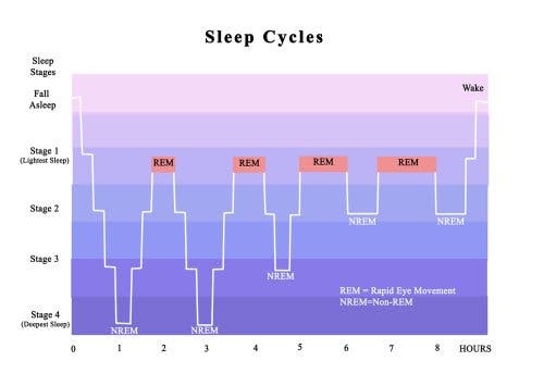 Schema dei ritmi circadiani