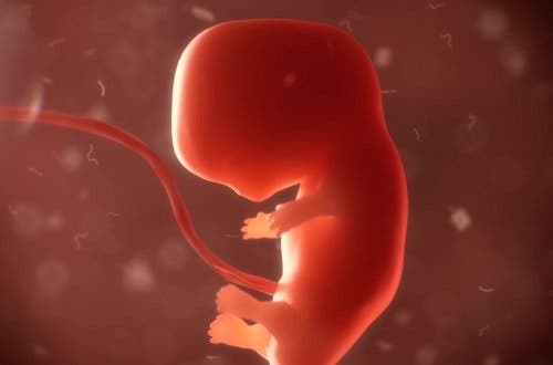 Bere caffè in gravidanza ed effetti sul feto