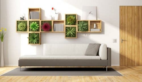 Arredare il soggiorno con piante da interni