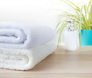 Piante decorative che non possono mancare in bagno