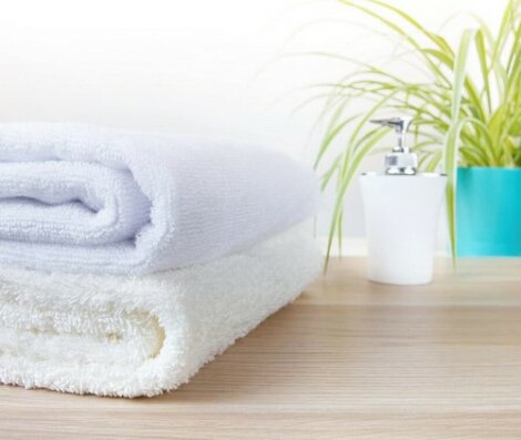 Piante decorative che non possono mancare in bagno