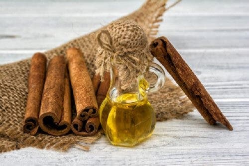 La cannella tra i repellenti anti-zanzare naturali