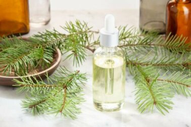 Olio essenziale di pino per combattere il raffreddore