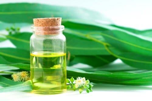 Barattolo con olio essenziale
