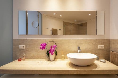 Piante decorative