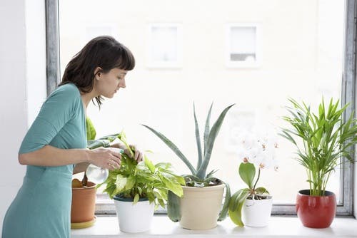 Ragazza che innaffia le piante