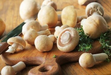 Ricette con i funghi leggere e gustose