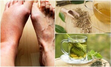 Tisane per abbassare l'acido urico: 6 proposte