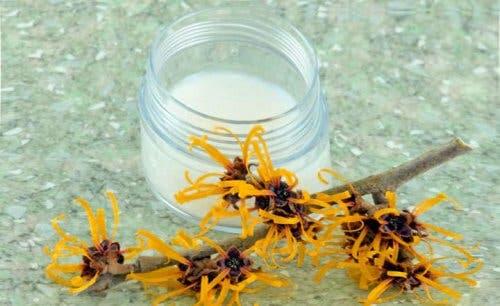 Acqua di amamelide per calmare il prurito