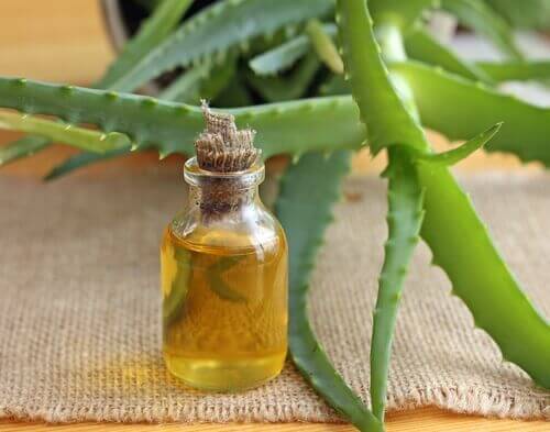 Aloe vera per capelli lucenti
